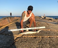 Shark Tribe - Jimmy Limon