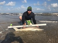 Fat Fish Only - Randall Dunn