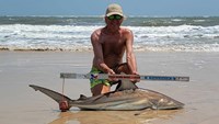 Sharkaholics - David Crain