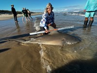 Team Breakaway  - Carol  Cox