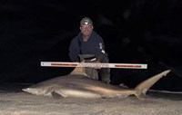 Just Bitten Shark Fishing Team - Walter Colton