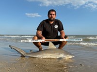 FISH ON CUSTOM LEADERS - Josh Diaz