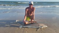 Sharkaholics - David Crain