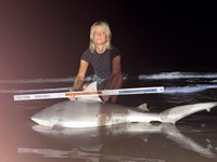 FISH ON CUSTOM LEADERS - Kiah Diaz