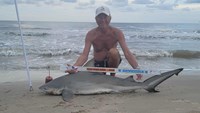 Sharkaholics - David Crain