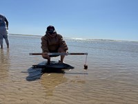 Low Tide Mafia 2 - Austin Erebia 