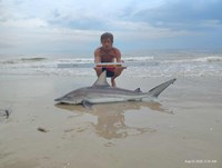 Shark at the Moon - Erik Schneider