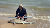 Saltwater Cowboys  - Adrian Guzman