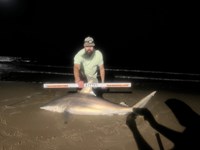 Just Bitten Shark Fishing Team - Guy Havel