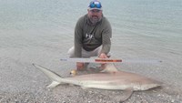 Sharkaholics - Eric Lane
