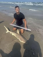 SharkFeenz - Cameron Hern
