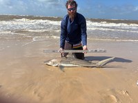 In Debt Fishing - Jonathan Morris