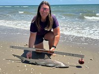 KASH FISHING - Ashley Meadows