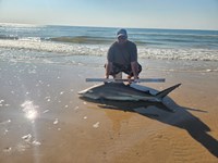 Rodeo Heroes - Donnie Tidwell