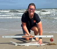 KASH FISHING - Ashley Meadows