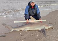 Rodeo Heroes - Donnie Tidwell