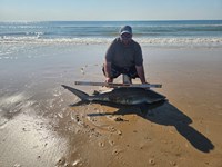 Rodeo Heroes - Donnie Tidwell
