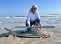 Team Breakaway  - Carol  Cox