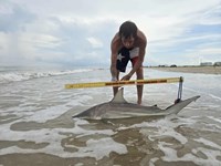 Shark at the Moon - Erik Schneider