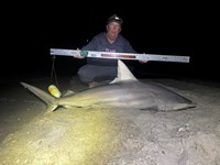 Team JackWagon - Kimberly Collier