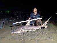 SharkFeenz - Christopher  Turner