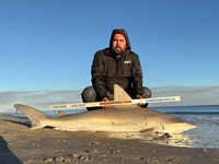 FISH ON CUSTOM LEADERS - Josh Diaz