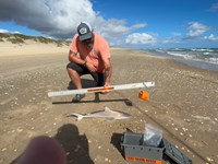 Honor Bound - Allen Carrick