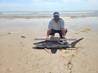 Rodeo Heroes - Donnie Tidwell