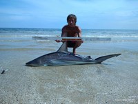 Shark at the Moon - Erik Schneider