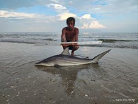 Shark at the Moon - Erik Schneider