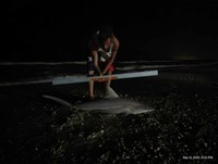 Shark at the Moon - Erik Schneider