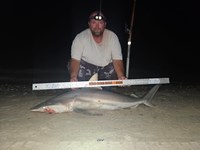 Rodeo Heroes - Donnie Tidwell