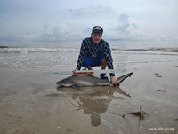 Shark at the Moon - Nick Fuller