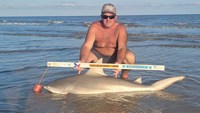 Sharkaholics - Shane Belair