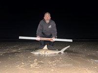 Rodeo Heroes - Steven Tidwell