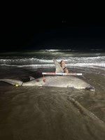 South Texas Shark Stewards - Michael  Iruegas 