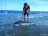 Shark at the Moon - Erik Schneider