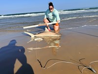 Honor Bound - Wendy Bergman