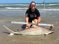 KASH FISHING - Ashley Meadows
