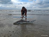 Shark at the Moon - Erik Schneider