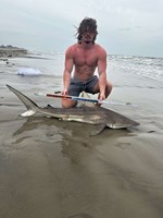 Low Tide Mafia - Wade Boatright