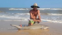 Sharkaholics - David Crain
