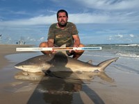 FISH ON CUSTOM LEADERS - Josh Diaz