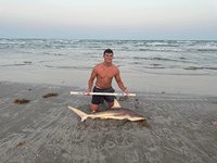 SharkFeenz - Cameron Hern
