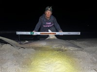 Team JackWagon - Kimberly Collier