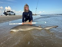 FISH ON CUSTOM LEADERS - Kiah Diaz