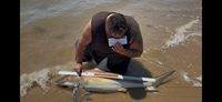 Saltwater Cowboys  - Christopher  Hollon