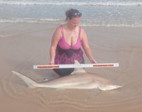 Just Bitten Shark Fishing Team - Lynsay Lewis