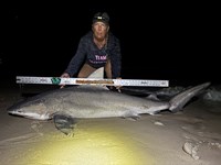 Team JackWagon - Kimberly Collier