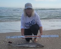 Team Breakaway  - Carol  Cox